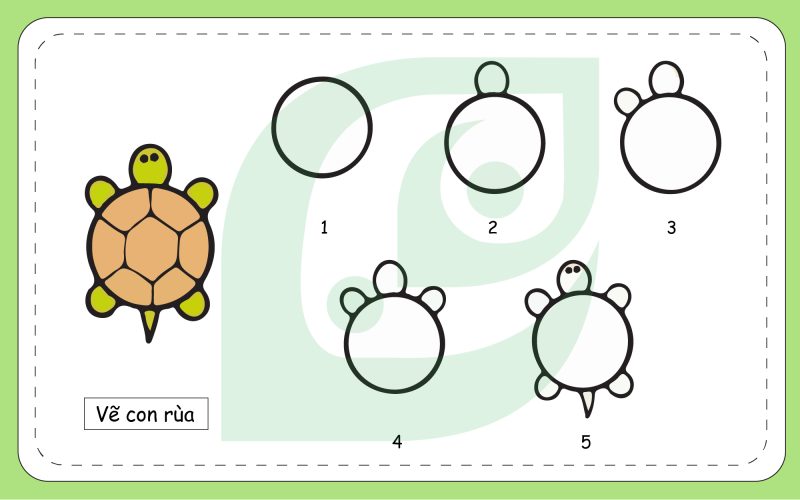 cách vẽ con rùa đơn giản có 5 bước