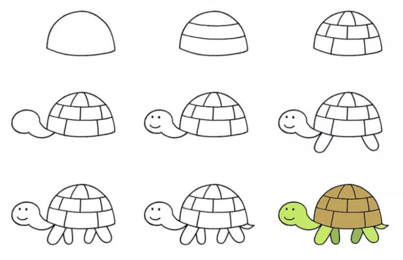 cách vẽ con rùa 9 bước chi tiết