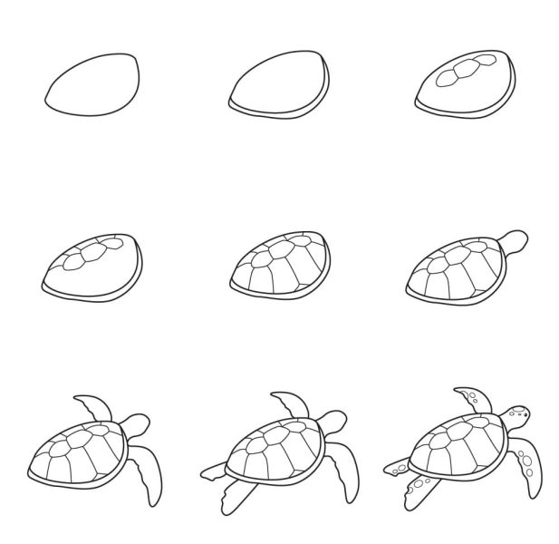 cách vẽ con rùa chi tiết 6 bước