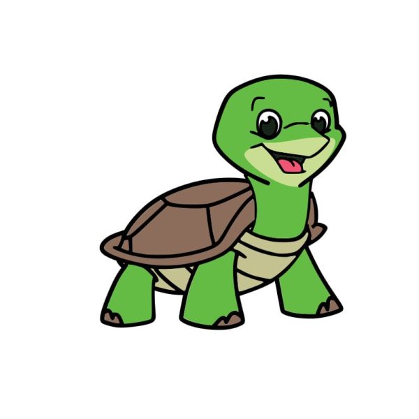 cách vẽ con rùa cute phong cách hoạt hình