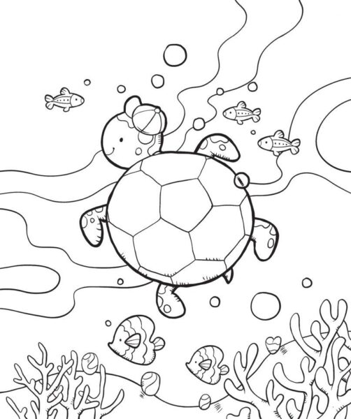 cách vẽ con rùa đang bơi cùng đàn cá