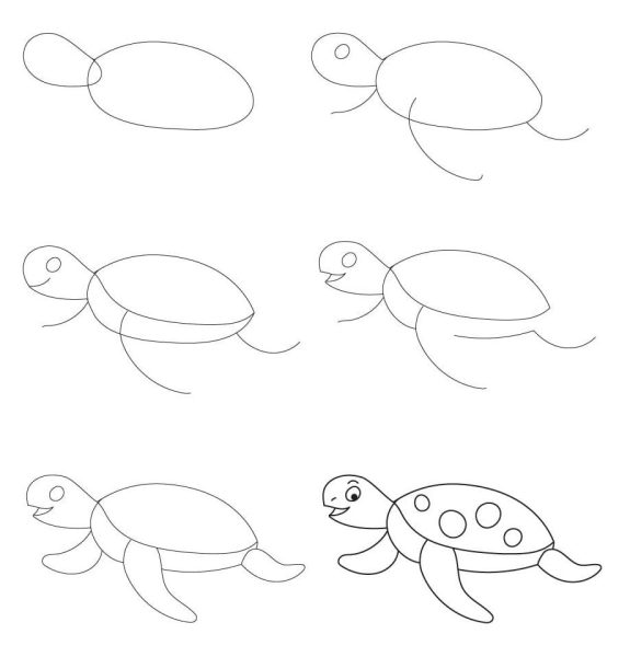 cách vẽ con rùa đang bơi với 6 bước