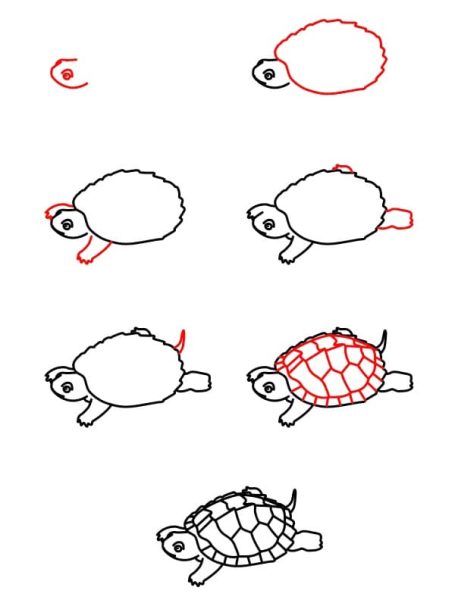 cách vẽ con rùa đang nằm