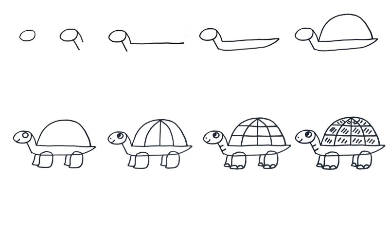 cách vẽ con rùa dễ nhất cho em bé