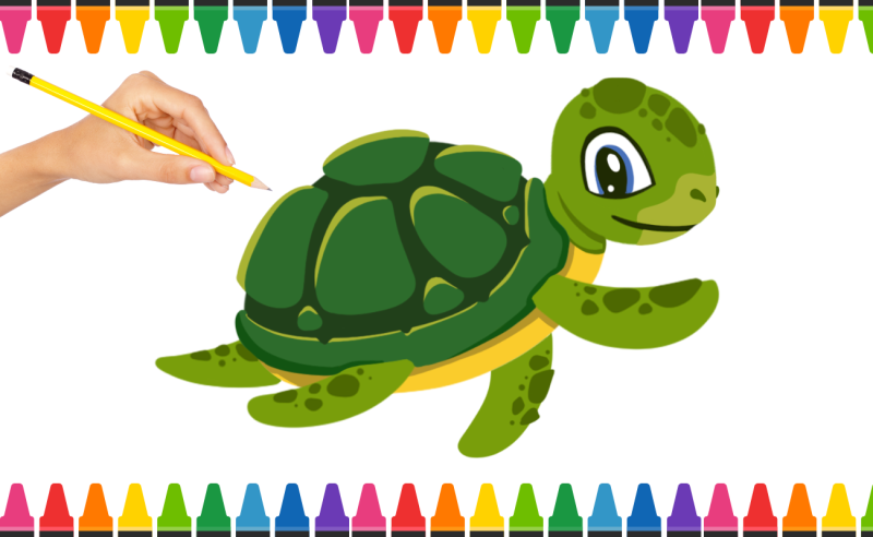cách vẽ con rùa dễ thương màu xanh