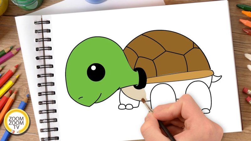 cách vẽ con rùa đơn giản mà đẹp