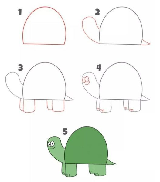 cách vẽ con rùa hoàn chỉnh 5 bước