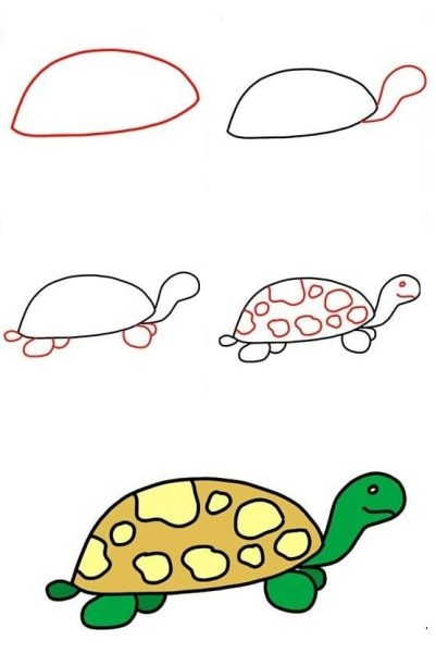 cách vẽ con rùa hướng dẫn 4 bước
