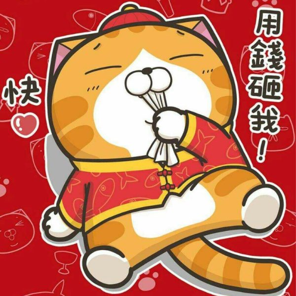 hình ảnh avatar mèo tết có chữ