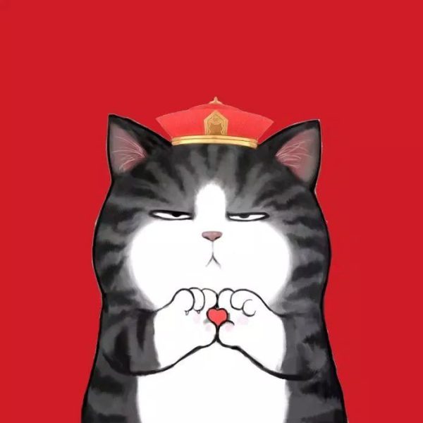 ảnh avatar mèo tết vô tri meme đáng yêu