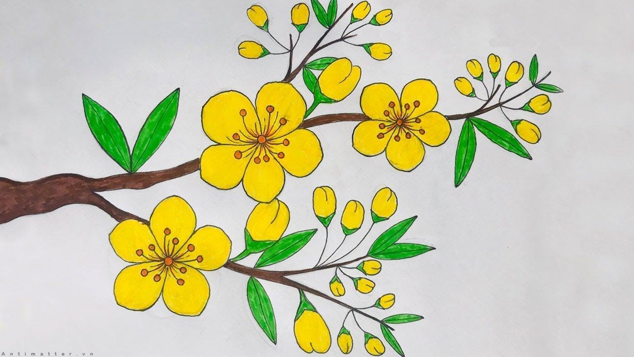Tìm hiểu hơn 102 hoa sen hình vẽ hay nhất  Tin Học Vui