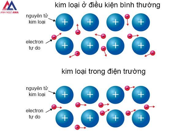 Hạt tải điện trong kim loại là gì? Electron là gì?