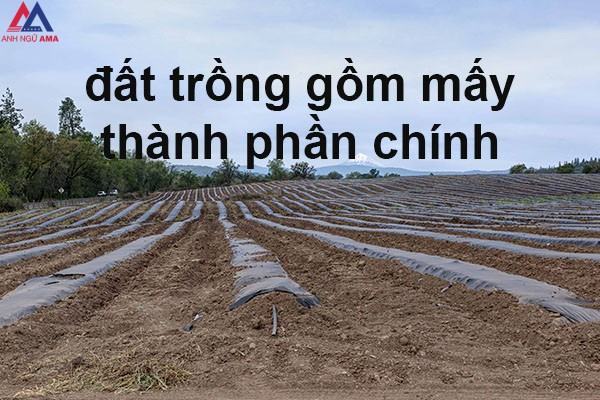 Đất trồng là gì? Đất trồng gồm mấy thành phần chính