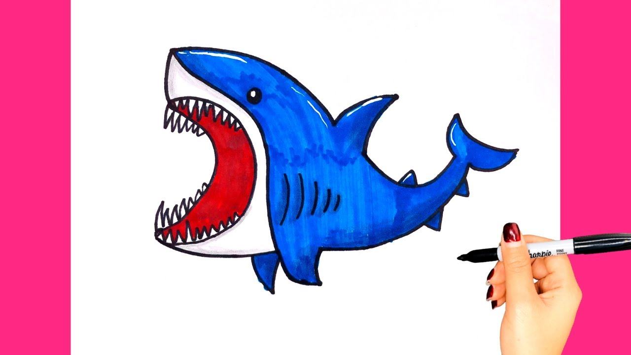 Mách bạn 9+ cách vẽ cá mập siêu đơn giản mà cuốn hút