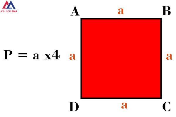Hình vuông là gì? Công thức tính chu vi hình vuông