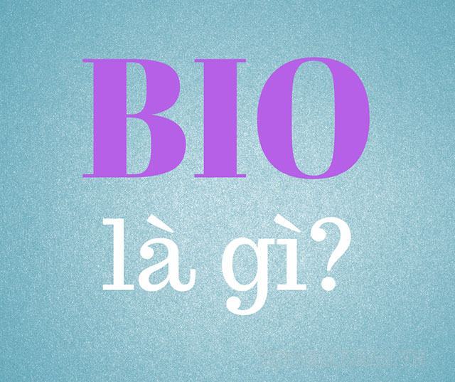 Bio là gì? Link bio trên Instagram, Tiktok, Facebook nằm ở đâu?