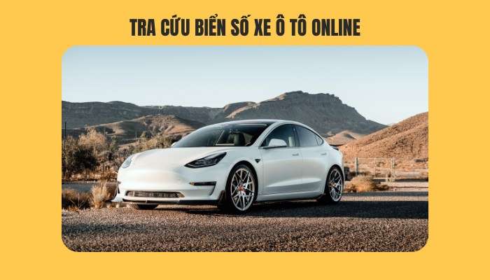 Tra cứu biển số xe ô tô online