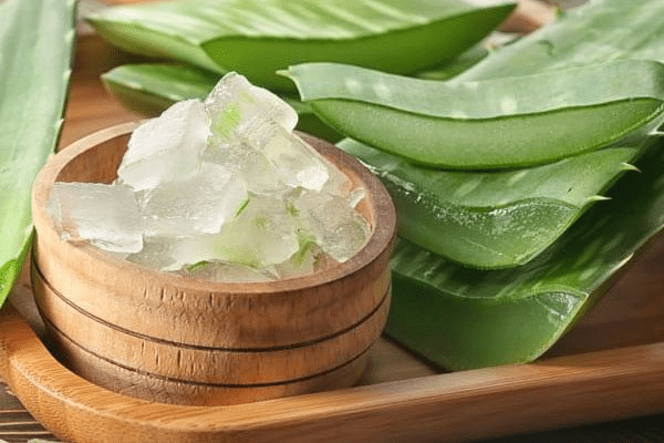 how to cook aloe vera tea 