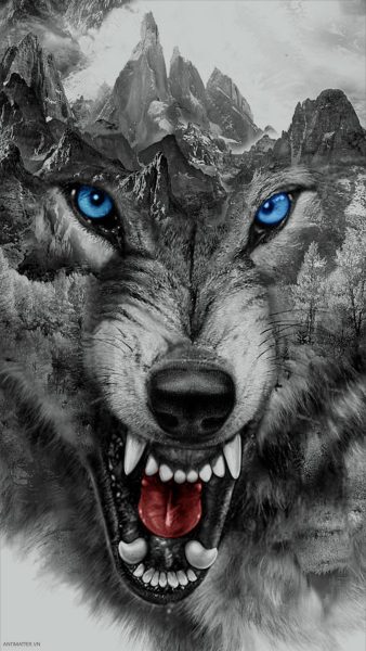 Hình ảnh của Fierce Wolf