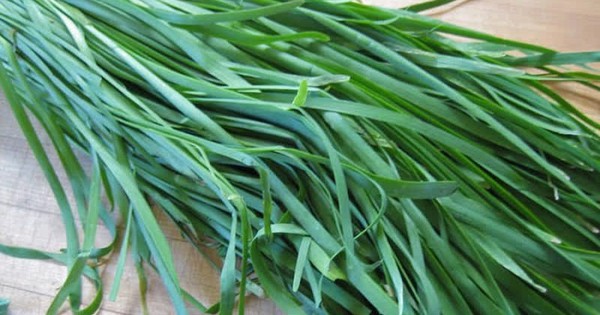 7 cách dùng cây rau hẹ giảm ho, viêm họng