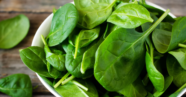 9 loại rau có hàm lượng protein cao giúp tăng cường cơ bắp
