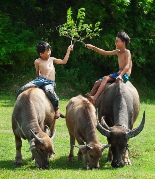 Một bức ảnh đẹp thời thơ ấu