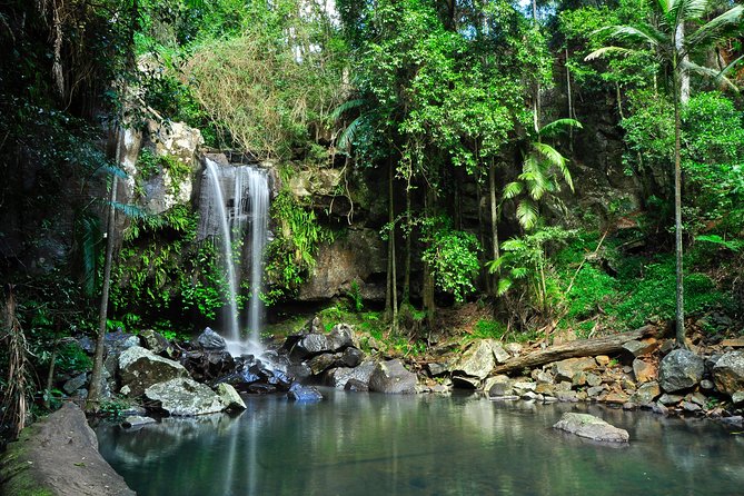 An Unforgettable Escape: Hiking Mount Tamborine with Friends