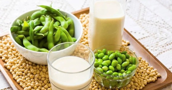 Bận rộn vẫn sống khỏe nhờ đạm ‘xanh’ từ sữa đậu nành