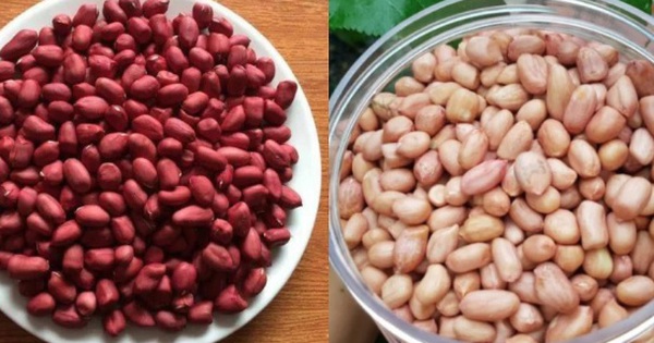 Bất ngờ khác biệt giữa công dụng của lạc đỏ và lạc trắng, nên chọn ăn theo cách này để phòng bệnh và kéo dài tuổi thọ