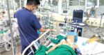 Bị thanh gỗ mục đâm vào chân, 1 tuần sau bé gái 7 tuổi cứng hàm, co giật toàn thân, tiên lượng nguy kịch