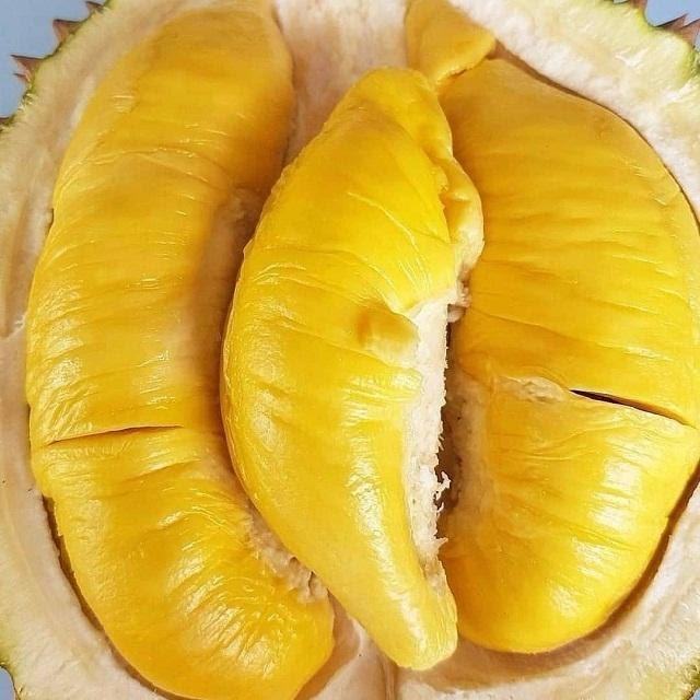 Mtengo wopatsa thanzi wa durian