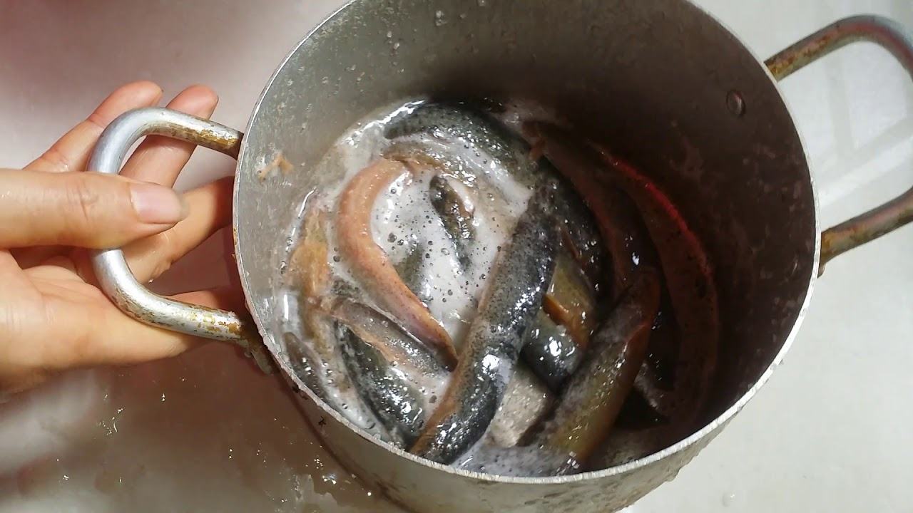 Cách nấu canh chua cá