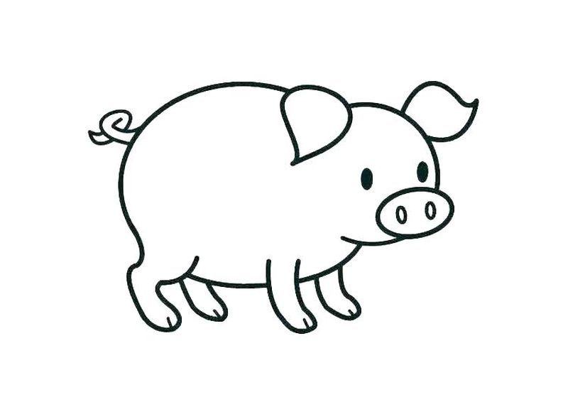 vẽ con lợn 1