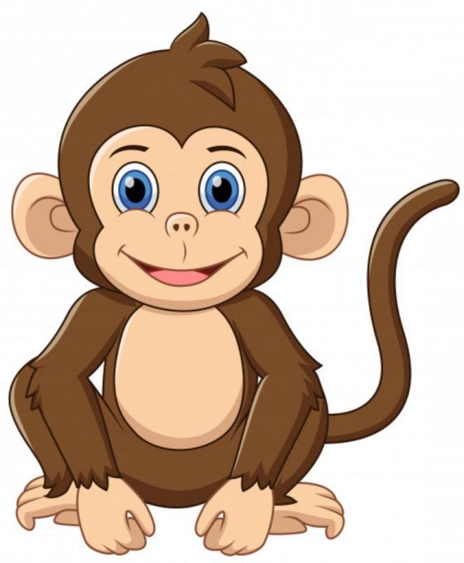 vẽ con khỉ 1
