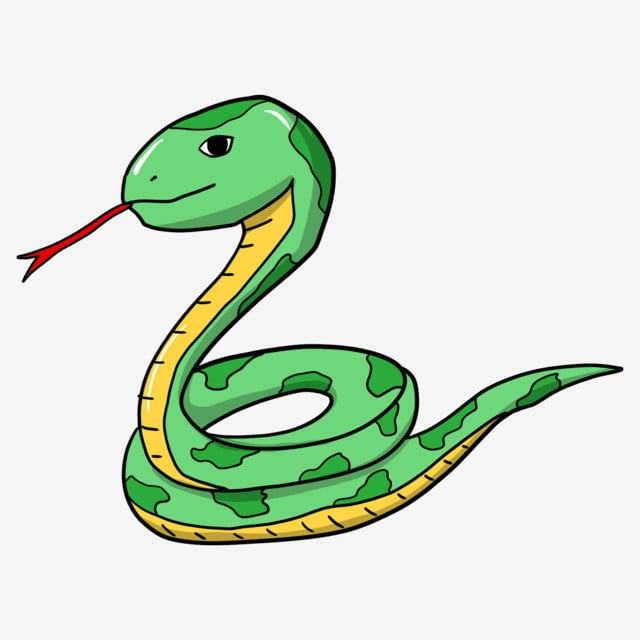 Cách vẽ con rắn đơn giản nhất cho bé [Cách vẽ con rắn hổ mang ...