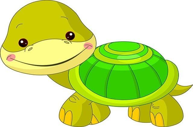 Rùa Reptile Minh họa Rùa Vẽ  rùa vẽ hình ảnh png png tải về  Miễn phí  trong suốt Rùa png Tải về
