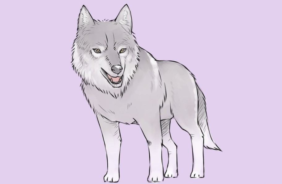 Xem hơn 100 ảnh về hình vẽ sói đẹp  daotaonec