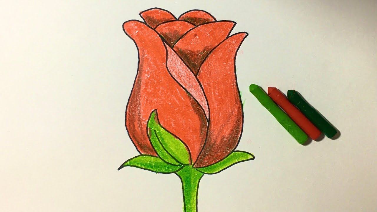 Cách vẽ hoa hồng bằng bút chì tuyệt đẹp mẫu vẽ hoa hồng bằng bút chì