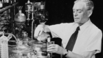 Casimir Funk: Exploring the Life and Contributions of a Nutritional Pioneer