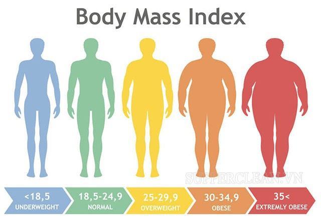 Chỉ số BMI, BMR & TDEE là gì? Cách tính & bảng tỉ số chuẩn