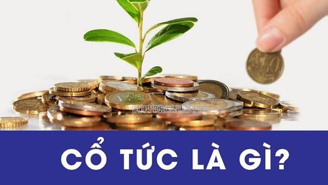 Cổ tức là gì? Cách tính tỉ lệ chi trả cổ tức như thế nào?