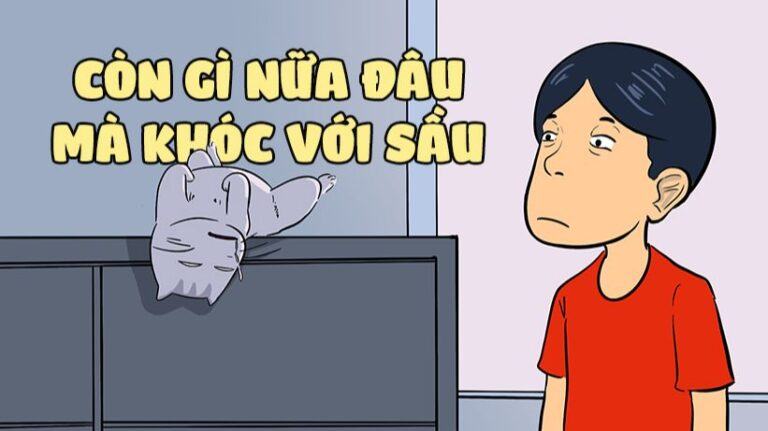 Còn gì nữa đâu mà khóc với sầu là gì? Tổng hợp meme