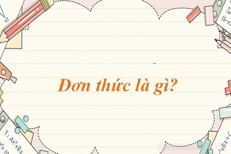 Đơn thức là gì lớp 7? Đa thức là gì? Tóm tắt kiến thức lý thuyết 