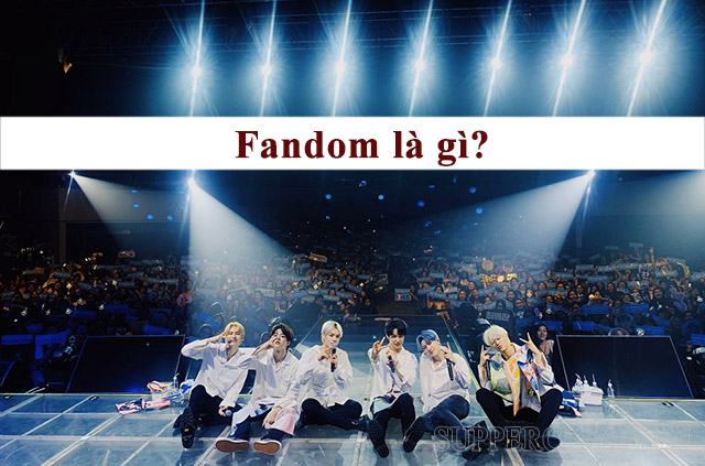 Fandom là gì? TOP 10 fandom nổi tiếng nhất thế giới