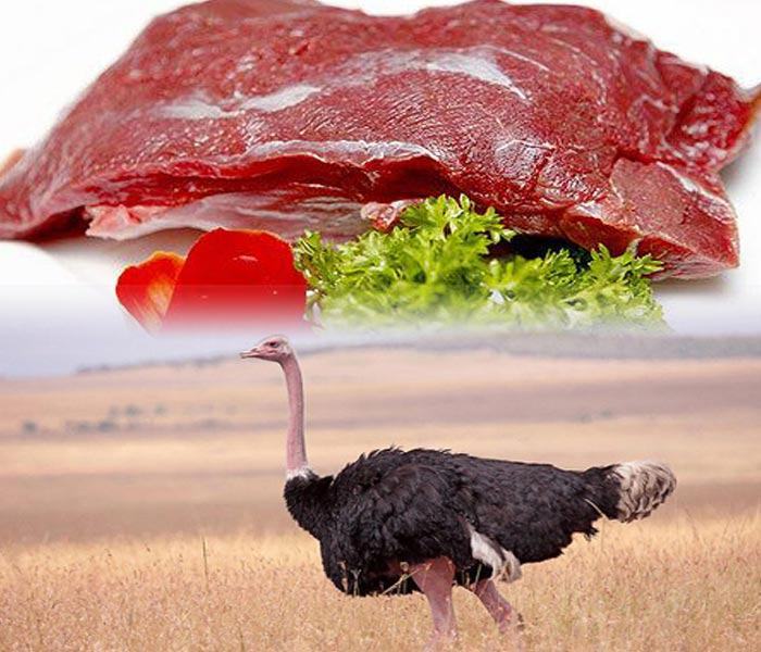 Giá thịt đà điểu bao nhiêu tiền 1kg hiện nay? [Cập nhật 2022]