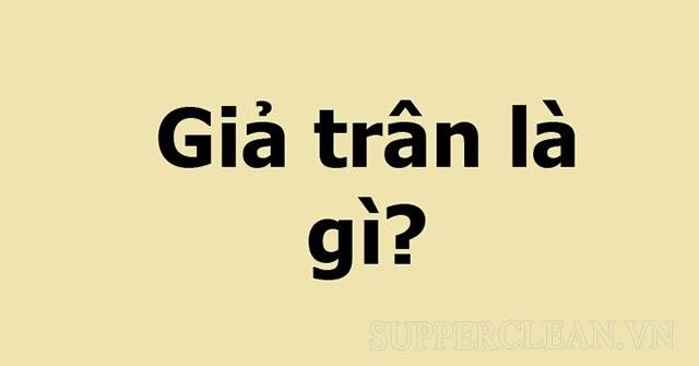 Giả trân nghĩa là gì? Nguồn gốc của câu nói được đề cử giải viral