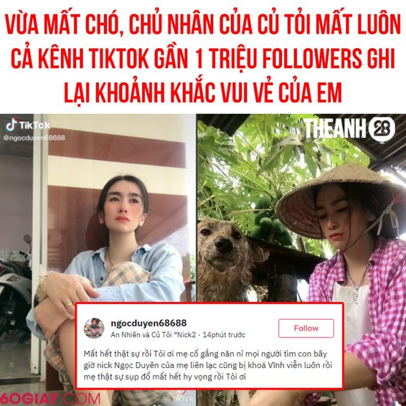 Chủ nhân của chú chó Củ Tỏi vừa bị mất kênh TikTok