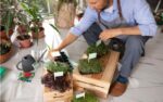 How Plant Label Printers Can Improve Plant Management and Tracking