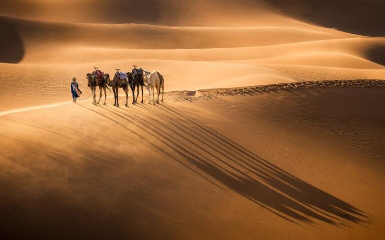 How to Plan a Sahara Desert Tour in Morocco