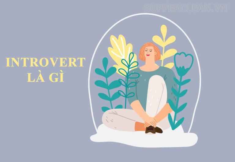 Introvert là gì? Những điều bạn không biết về người Introvert